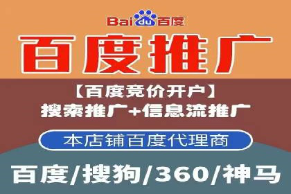 谷歌SEM广告投放策略解析：一家旅游公司的成功案例